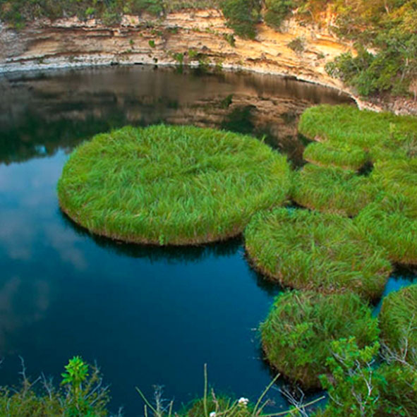 Explorar los Cenotes de Aldama  – TAMAULIPAS, MARAVILLAS NATURALES